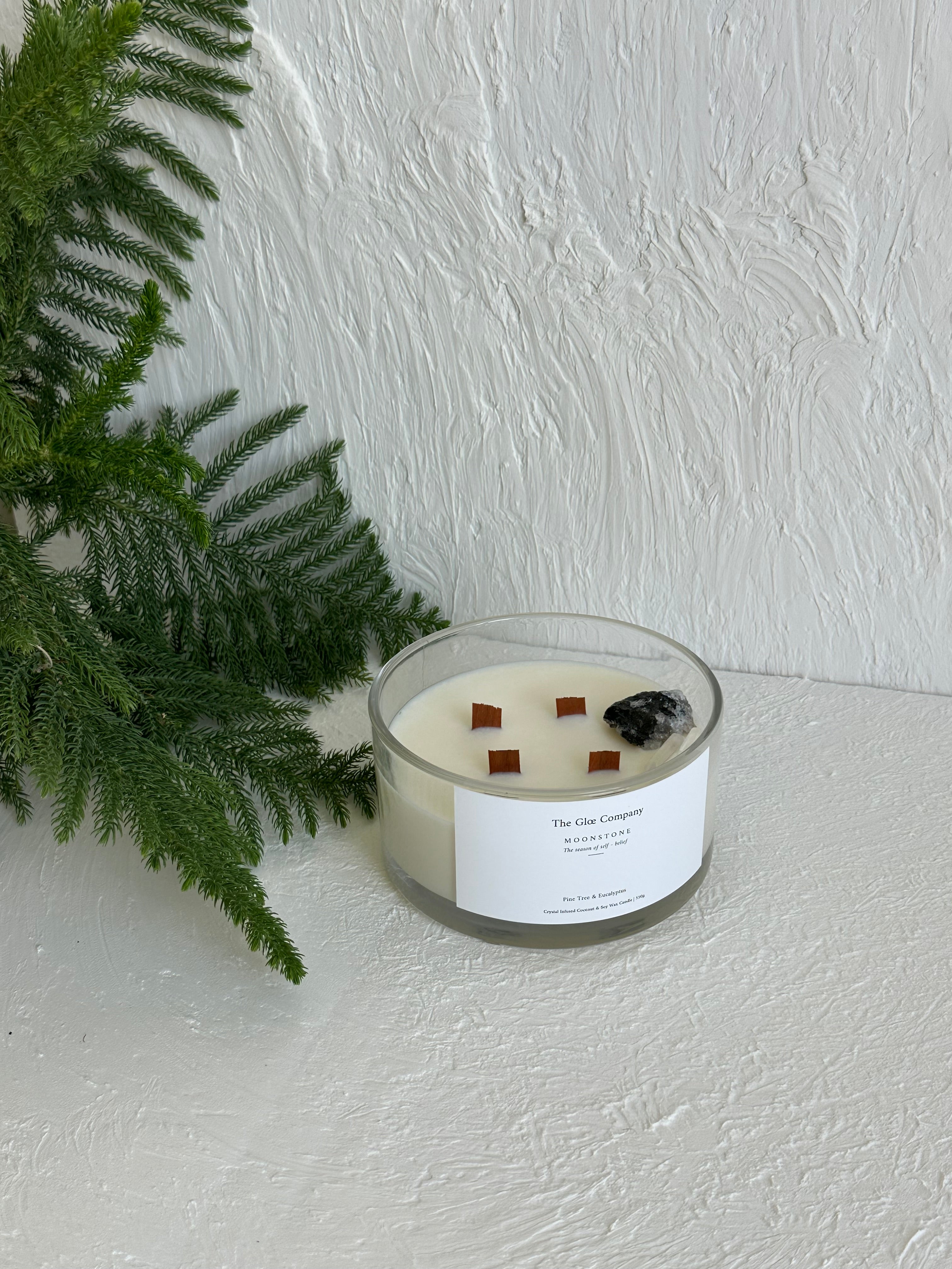 Pine Tree & Eucalyptus - 550g